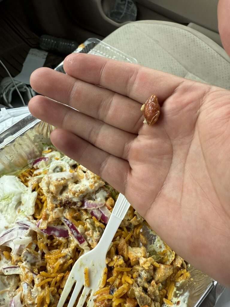 Norristown Halal Food Truck photo 6